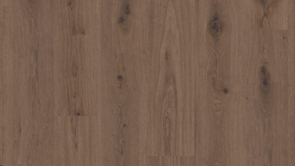 panele winylowe Tarkett Starfloor Click Ultimate 55 Delicate Oak Brown