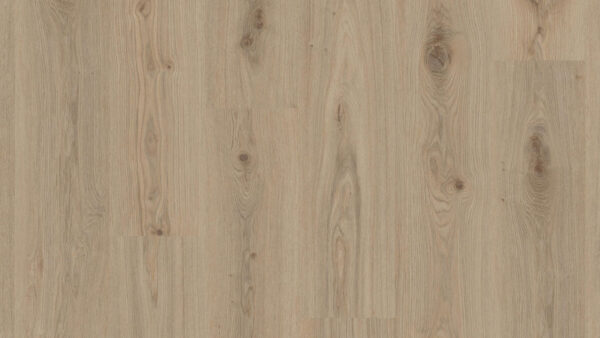 panele winylowe Tarkett Starfloor Click Ultimate 55 Delicate Oak Natural