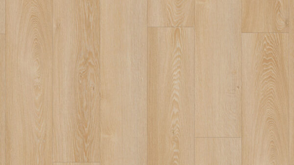 panele winylowe Tarkett Starfloor Click Solid 55 Modern Oak Classical