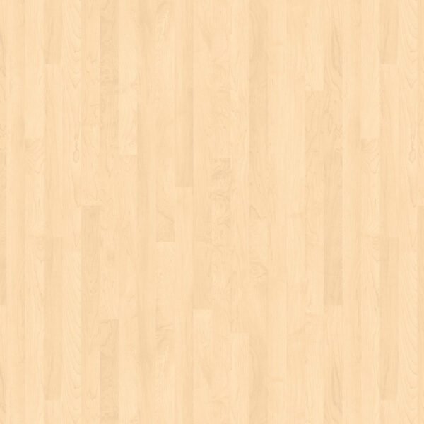 Nawierzchnia sportowa Omnisports Active +Tarkett Maple Light Maple