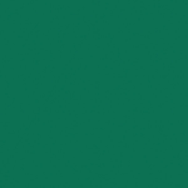 Nawierzchnia sportowa Omnisports Active +Tarkett Uni Tonic Green