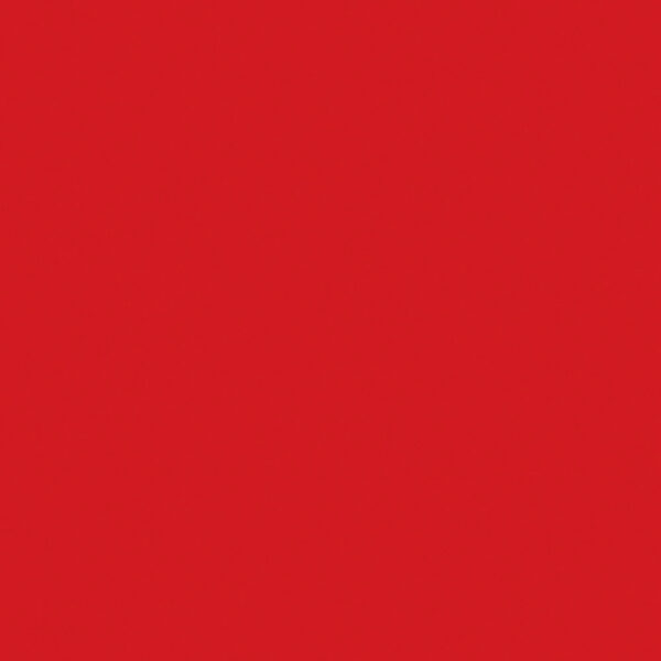 Nawierzchnia sportowa Omnisports Active +Tarkett Uni Tonic Red