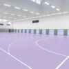Wykładzina sportowa Taraflex Comfort Gerflor 0047 Mallow