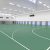 Wykładzina sportowa Taraflex Comfort Gerflor 6553 Fern